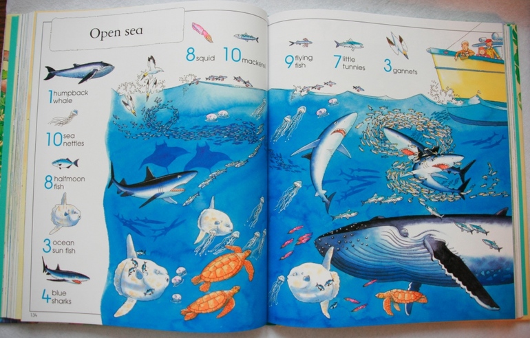 Thousands of Things to Spot от Usborne много фото