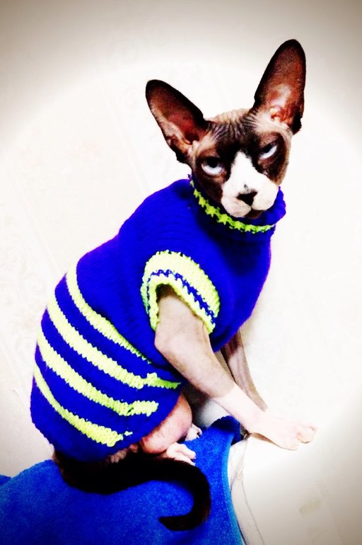 Мой первый опыт!!!!