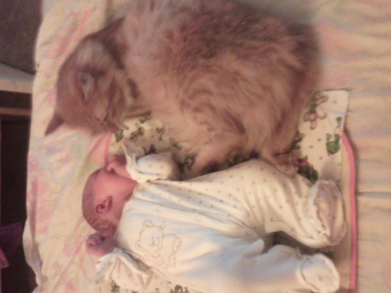 А мы растем!