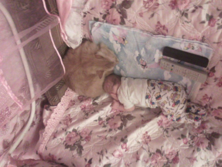 А мы растем!