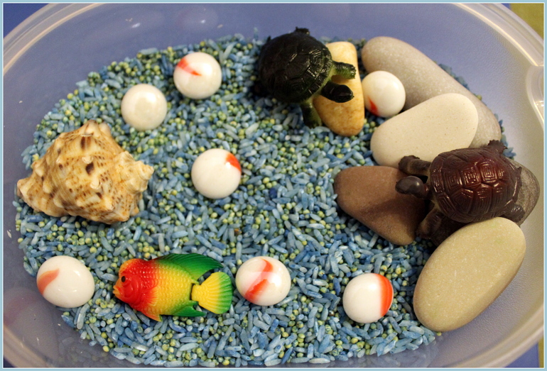 Морская сенсорная коробочка