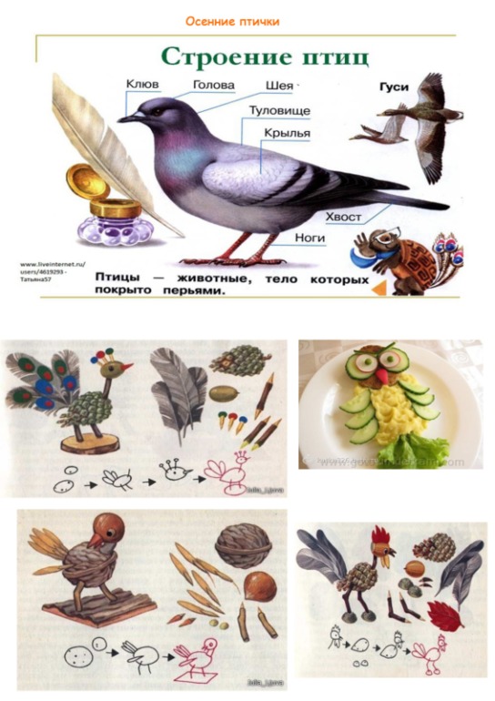 осенние вечера