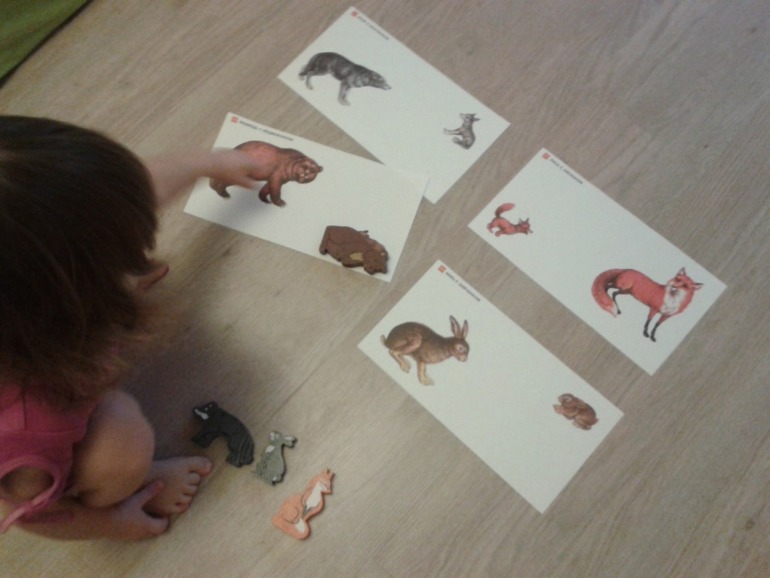 4.12 - Животный мир зимой.