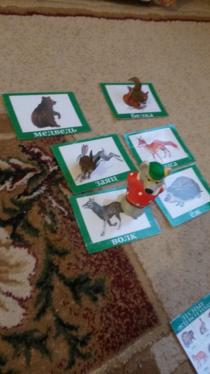 ТН "ЛЕСНЫЕ ЖИВОТНЫЕ"  познавательный вторник