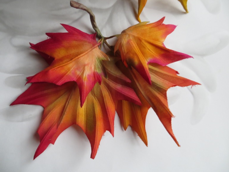 Осенняя листва.