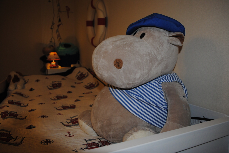 Комната моего капитана.