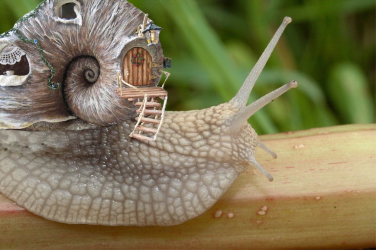 Контрольное задание № 9. "Использование масок слоев"