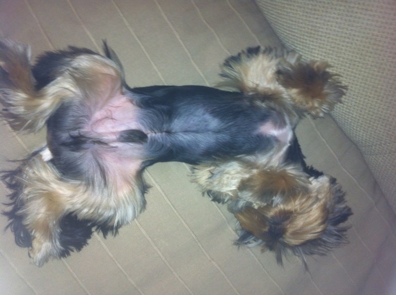 Мой шалун-красатун!