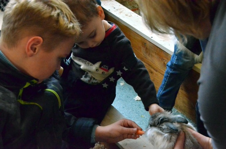 Контактный зоопарк на ВВЦ (много фото)