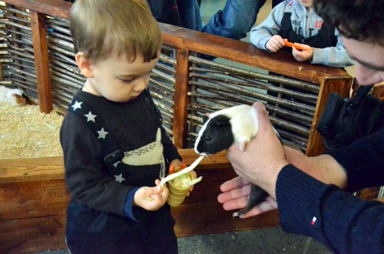 Контактный зоопарк на ВВЦ (много фото)