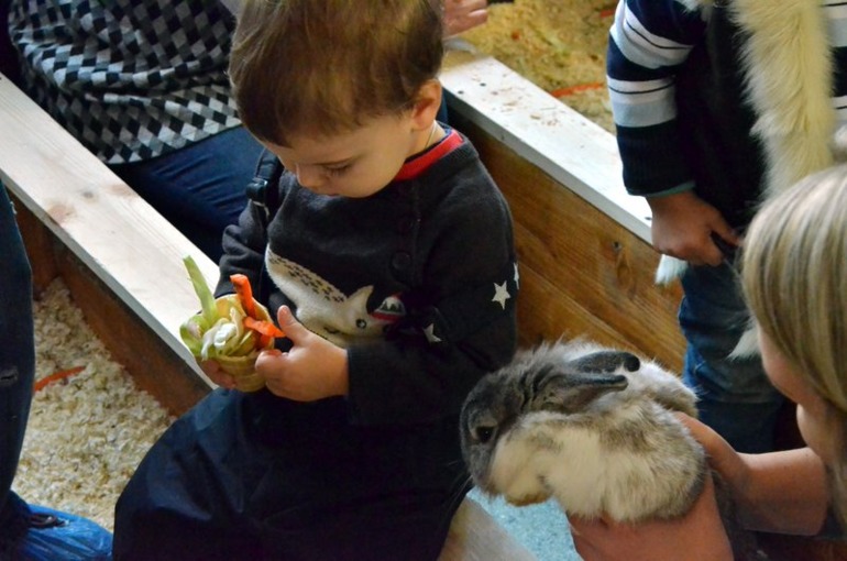 Контактный зоопарк на ВВЦ (много фото)