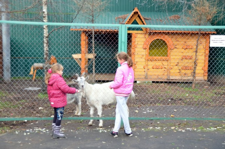 Усадьба Деда Мороза в Кузьминках! (очень,очень много фото)