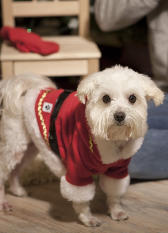 Прости меня, Друг!!!!!