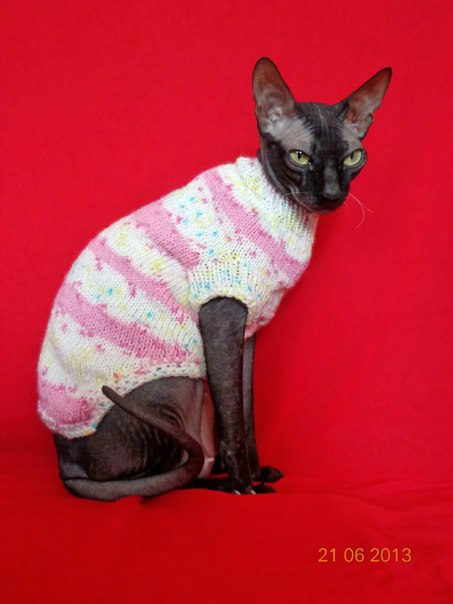 Девочки рукодельницы! Кто-нибудь вяжет на заказ ?