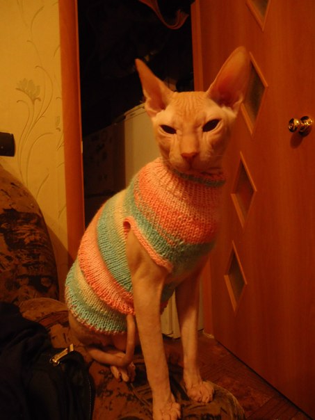 Девочки рукодельницы! Кто-нибудь вяжет на заказ ?