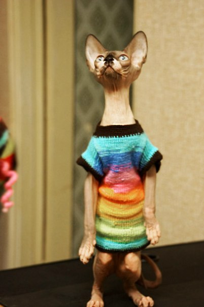 Девочки рукодельницы! Кто-нибудь вяжет на заказ ?