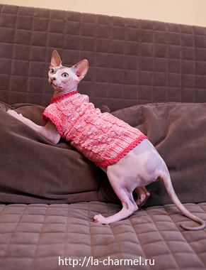 Девочки рукодельницы! Кто-нибудь вяжет на заказ ?