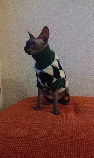 Девочки рукодельницы! Кто-нибудь вяжет на заказ ?