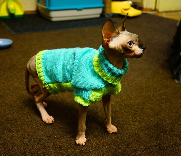 Девочки рукодельницы! Кто-нибудь вяжет на заказ ?