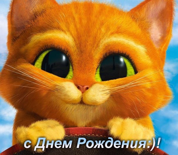 90df663d89c5aa1d320e64ca8ed1b9c4.jpg