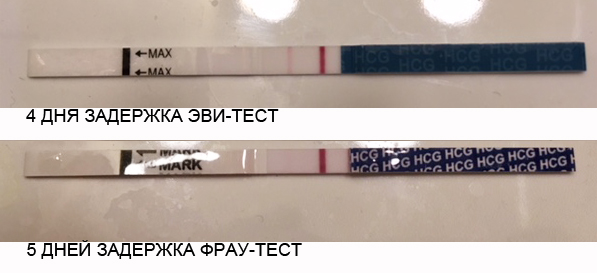 Задерживается на 4 дня