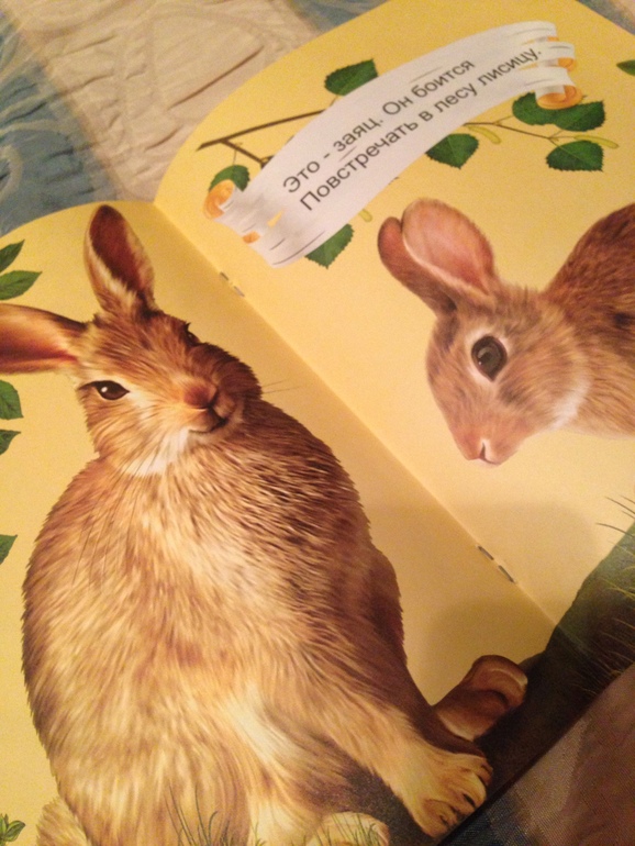 Пополнили нашу библиотеку (0-12 месяцев)