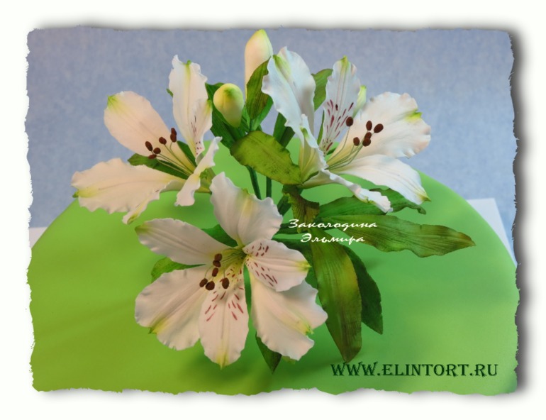 Торт с сахарными альстромериями.