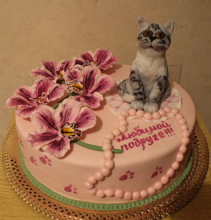 Шотландская прямоухая)