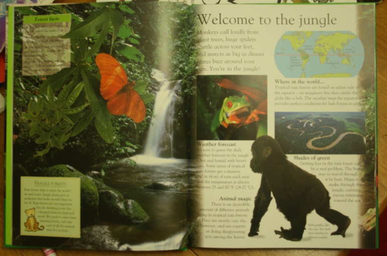 Наше новое увлечение