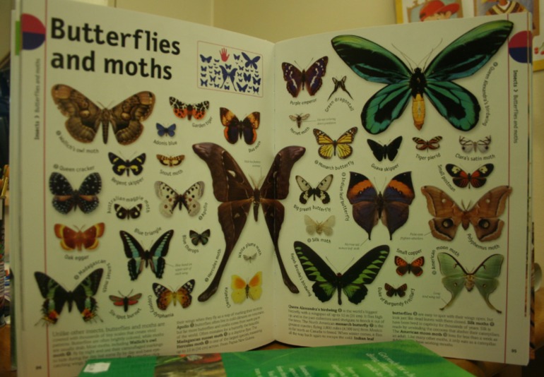 Наше новое увлечение