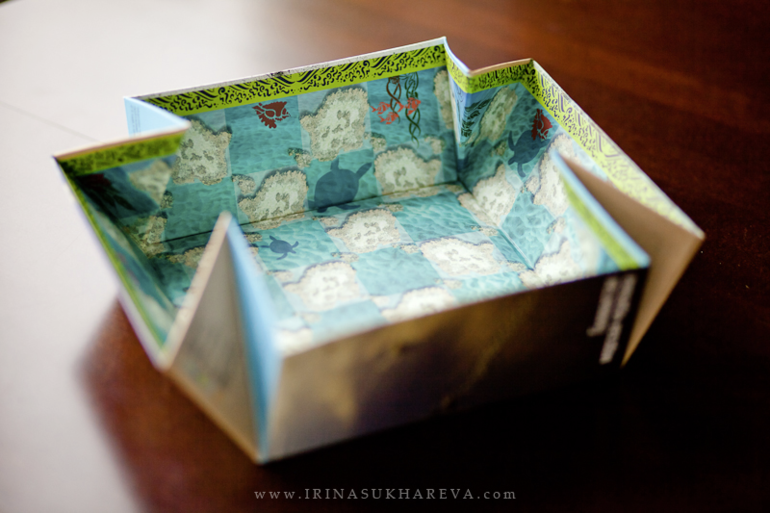 Настольные игры от Всемирного Фонда дикой природы (WWF).