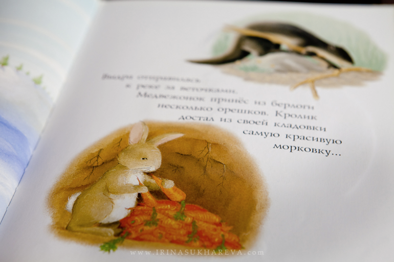 Зимние книги, которые живут в нашем доме.