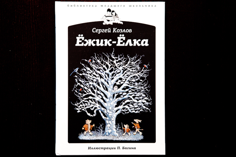 Зимние книги, которые живут в нашем доме.