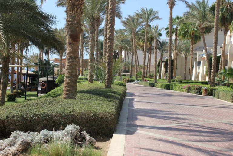 Отель Гранд Ротана в Шарме