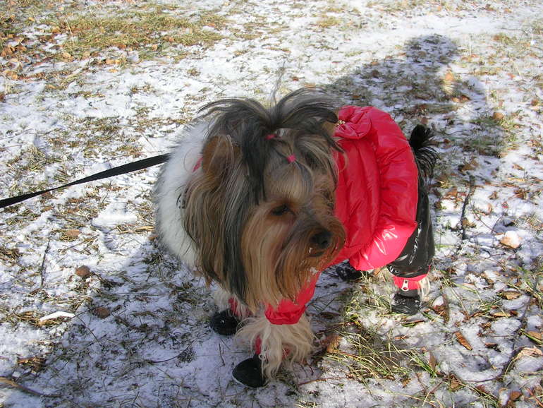 Зимняя фотосессия!