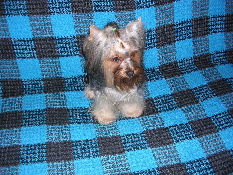 Зимняя фотосессия!