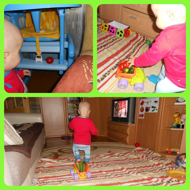 Четвертый день в Огородии....