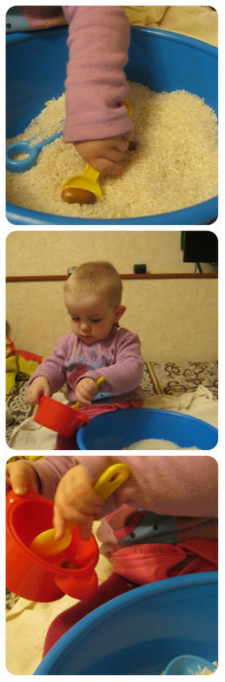 ТН Объекты природы День 4 Желудь