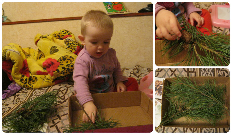 ТН Объекты природы Д 10 Шишечка (заключительный)