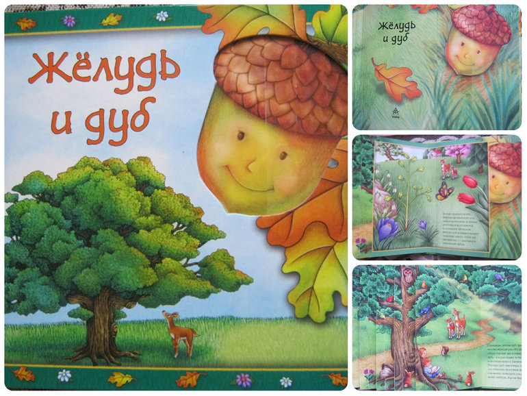 ТН Объекты природы  День 4 Желудь