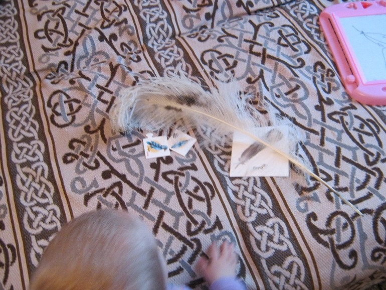 ТН Объекты природы Д 9 Перышко