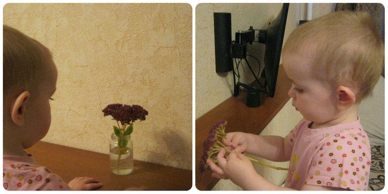 ТН Объекты природы  Д 6 Цветочек