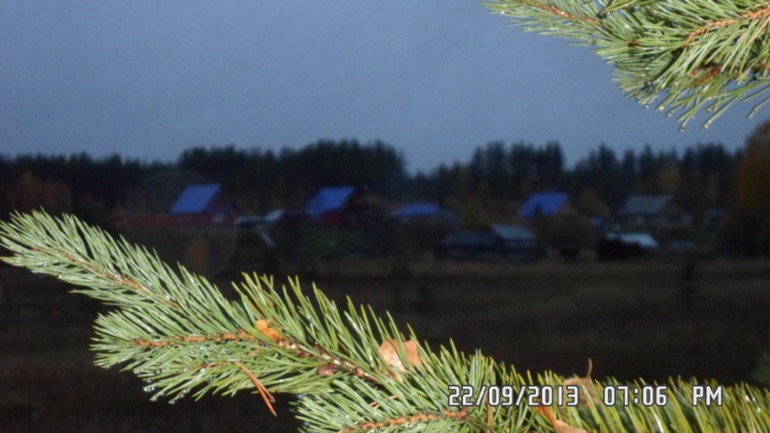 Осенняя поездка в лес