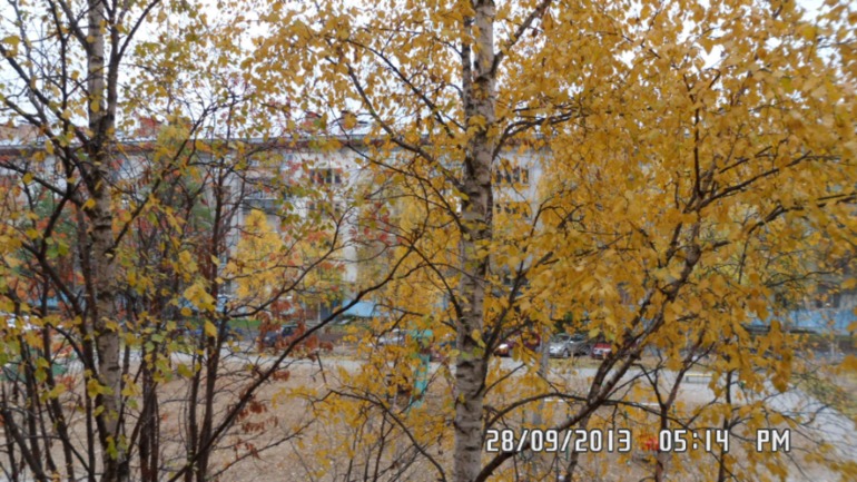 Осенняя поездка в лес