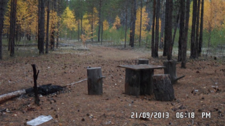 Осенняя поездка в лес