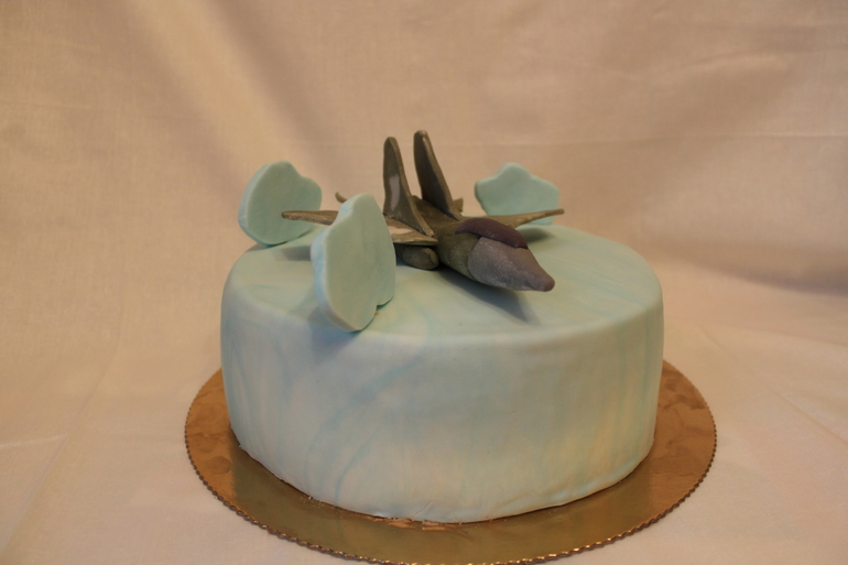 Торт с самолетом