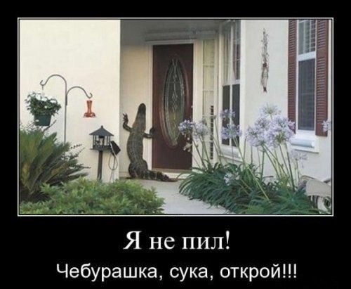 Позитивчик