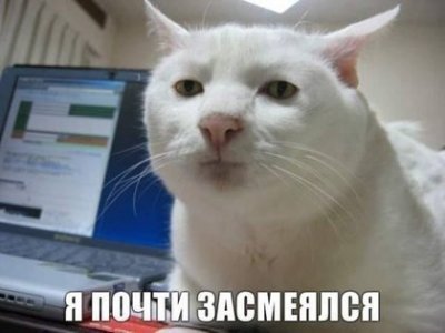 408e18f3947a13b27ff74de2e5bf7160.jpg