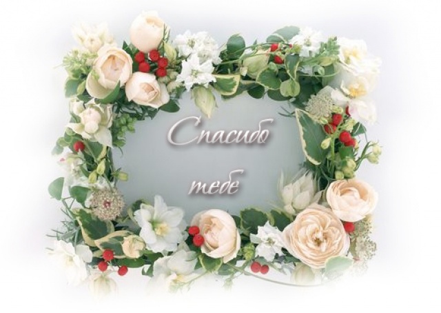 К нам примчался Новый Год))))