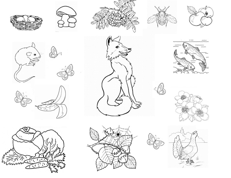 Колобок и другая выпечка